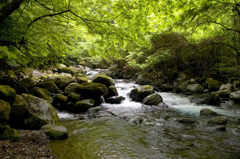 水と緑と風と音