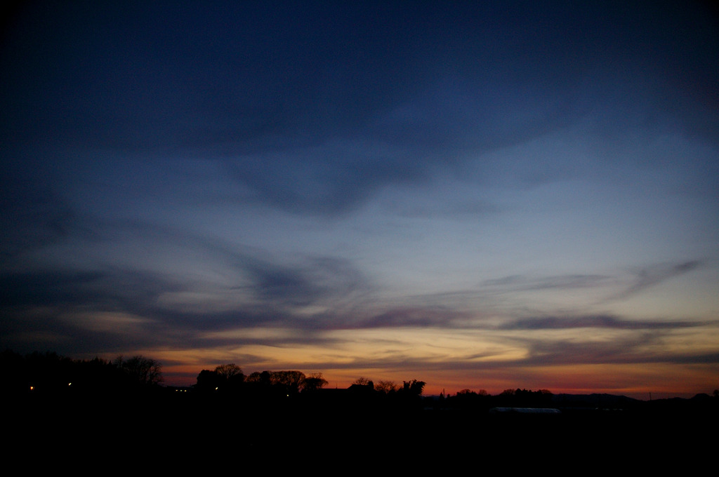 IMGP0290