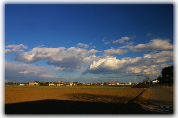 IMGP8961