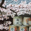 酒と桜