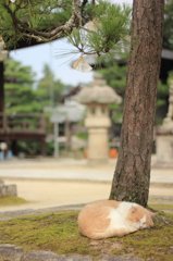 ｚｚｚ。。。