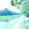 「透明感」