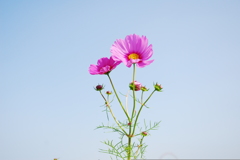 「夏から秋への一歩」