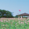 「背伸び」