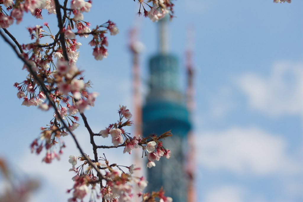 もうすぐ４月