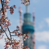 もうすぐ４月