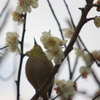 スカイツリー（一発芸！？）