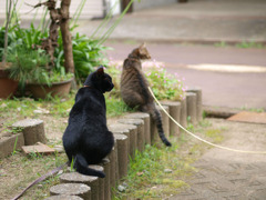 右を向く