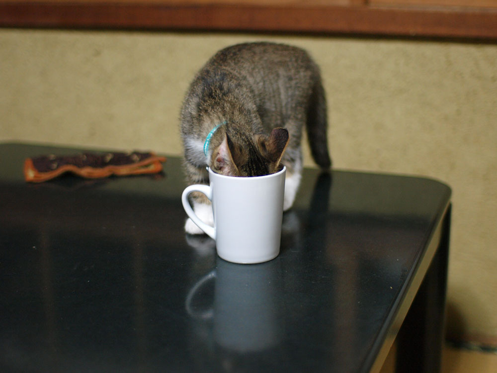 水を飲む