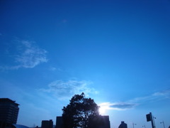 夕日