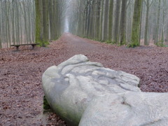 P1000392