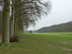 P1000443