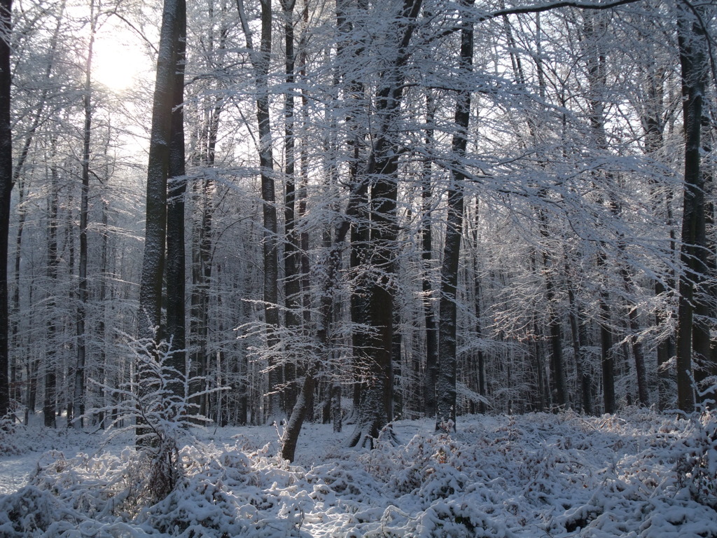 DSCF0496_2