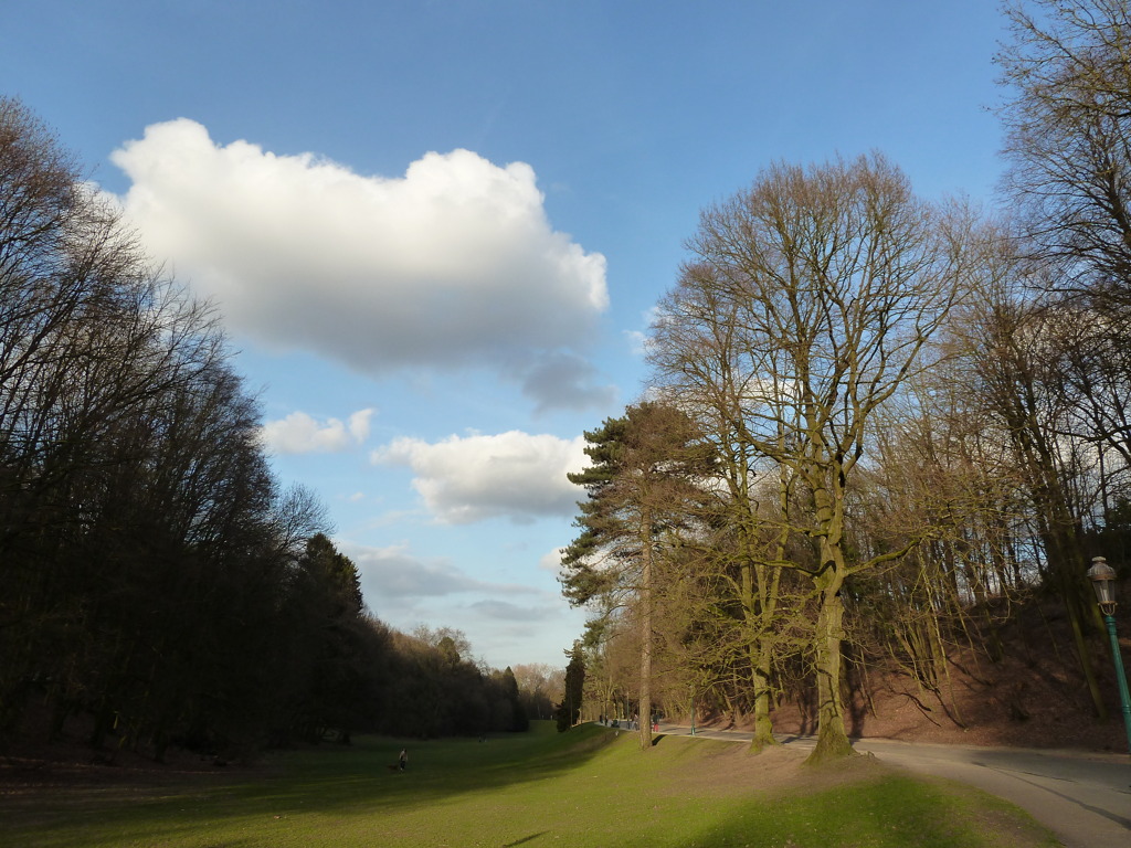 spring is in the air