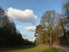 spring is in the air