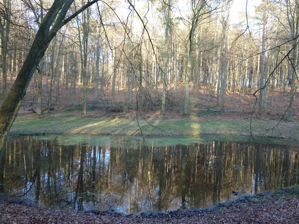 P1000348