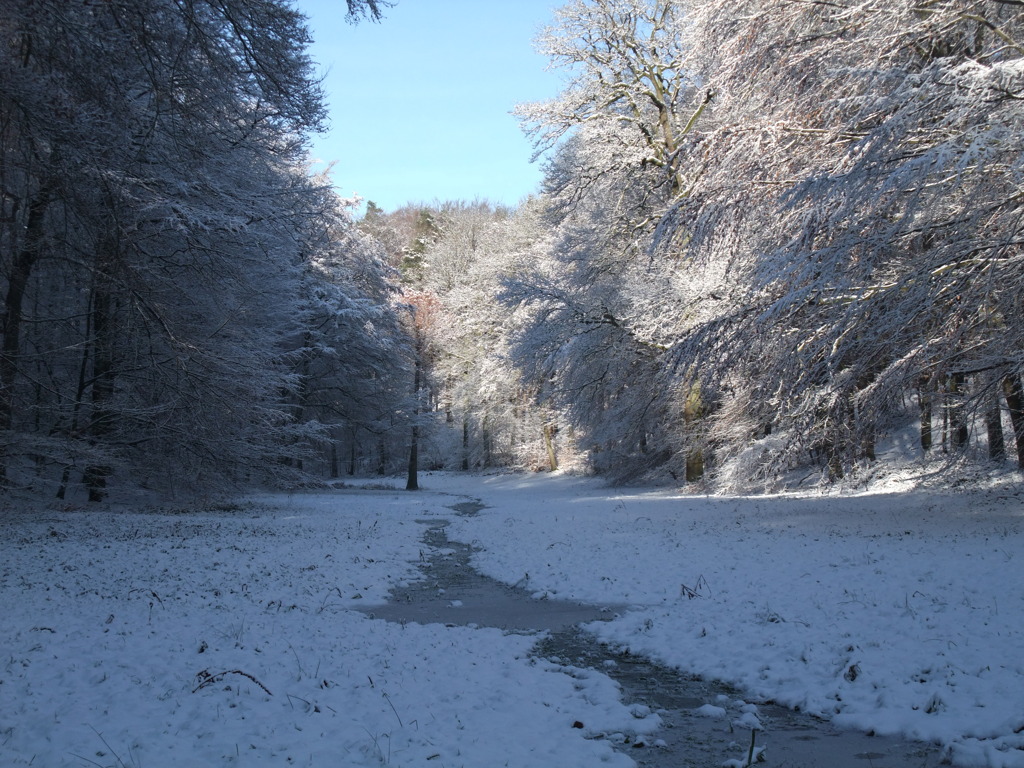 DSCF0499_2
