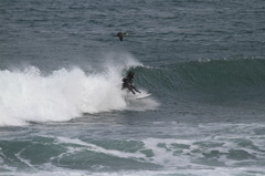 どっちが早い！