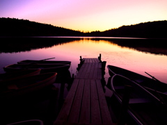PA090431_1
