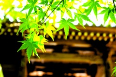 和