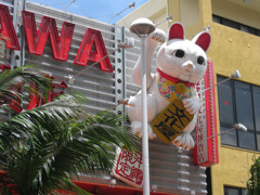 沖縄旅行(国際通り）