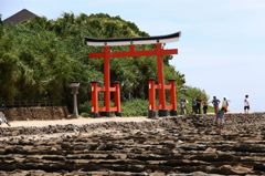 青島（宮崎）