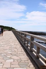青島（宮崎）