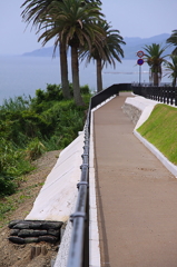 日南海岸　堀切峠