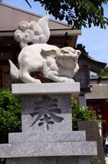 青島（宮崎）