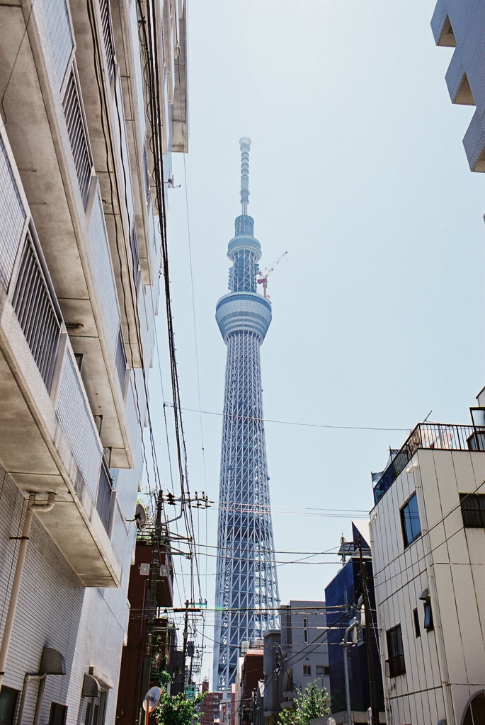 スカイツリー01