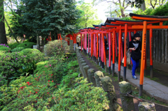 根津神社