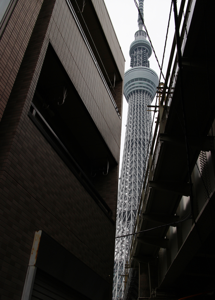 Sky Tree