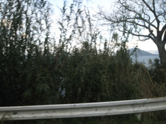 IMG_2783_w800pix