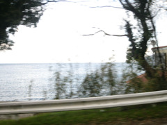 IMG_2784_w800pix