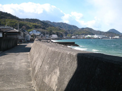 IMG_2605_w800pix