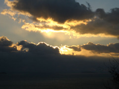 IMG_3018_w800pix
