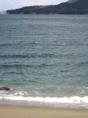 IMG_2722_w800pix