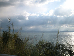 IMG_2839_w800pix