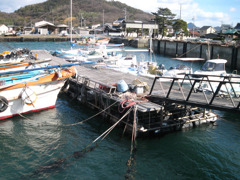 IMG_2603_w800pix