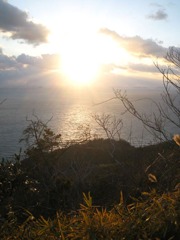 IMG_3009_w800pix