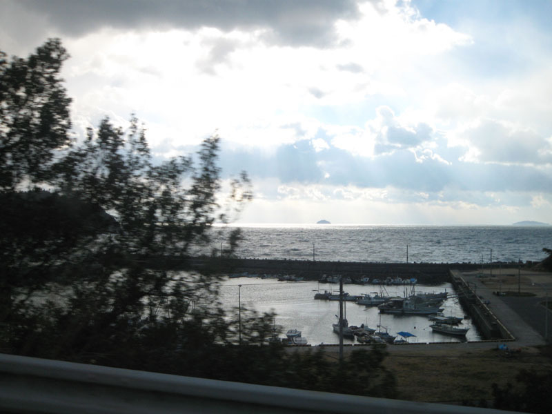 IMG_2788_w800pix