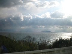 IMG_2826_w800pix