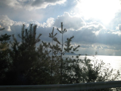 IMG_2838_w800pix
