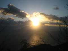 IMG_3011_w800pix