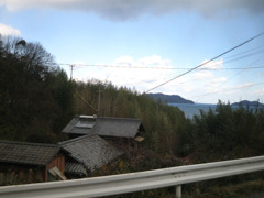 IMG_2768_w800pix