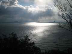 IMG_2854_w800pix