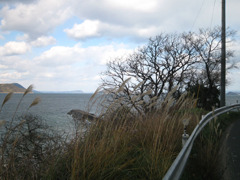 IMG_2710_w800pix