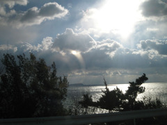 IMG_2836_w800pix