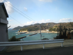 IMG_2796_w800pix