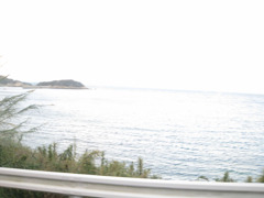 IMG_2782_w800pix